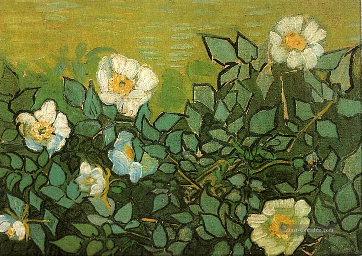 Wilde Rosen Vincent van Gogh Ölgemälde